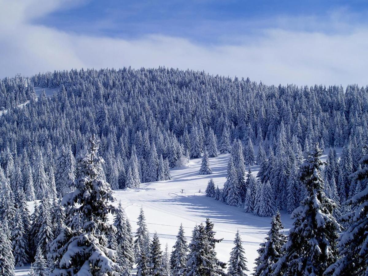 As Lux Apartmani Kopaonik Bagian luar foto